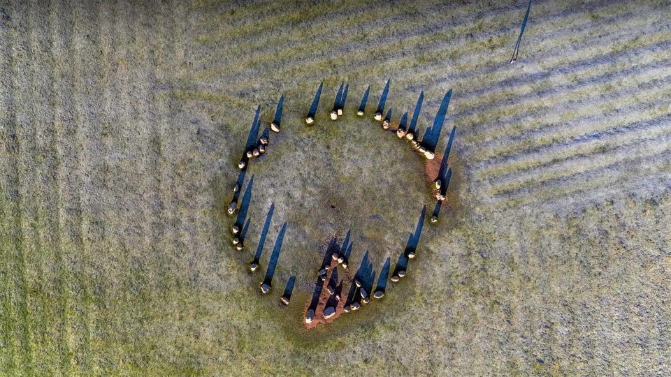 协和4+4，谁在践踏公平的最后防线？